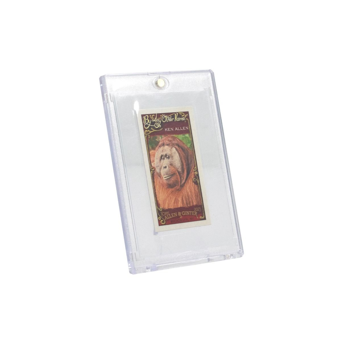 BCW Tobacco Card Insert Sleeves- pack of 25